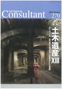 Consultant270_ページ_1